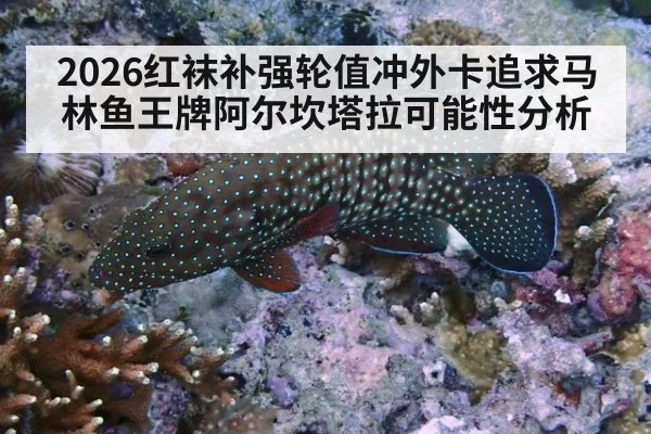 2026红袜补强轮值冲外卡追求马林鱼王牌阿尔坎塔拉可能性分析