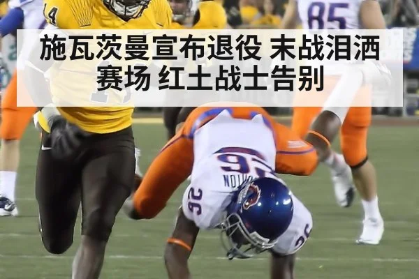 施瓦茨曼宣布退役 末战泪洒赛场 红土战士告别